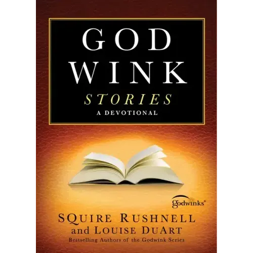 Godwink Stories: A Devotional