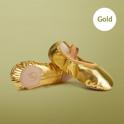 Soft-soled Practice PU Leather Cat-claw Gold And Silver Dance Shoes