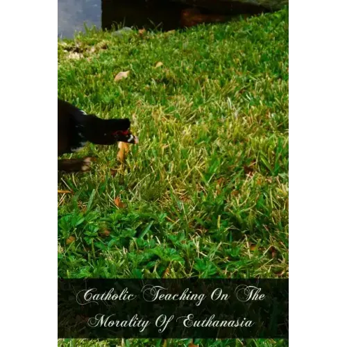 Catholic Teaching On The Morality Of Euthanasia