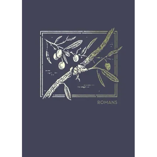 Net Abide Bible Journal - Romans, Paperback, Comfort Print: Holy Bible