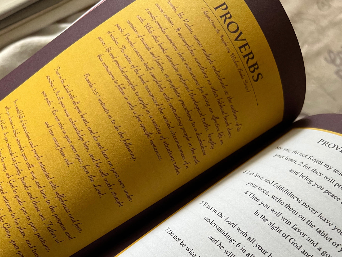 ATW Prayer Journal | Paperback-Magenta