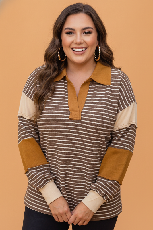 Plus Size Stripe Colorblock V-Neck Long Sleeve Top