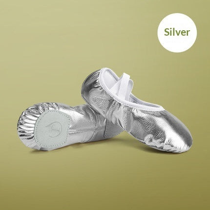 Soft-soled Practice PU Leather Cat-claw Gold And Silver Dance Shoes