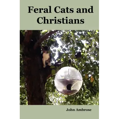 Feral Cats and Christians