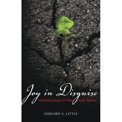 Joy in Disguise: Meeting Jesus in the Dark Times
