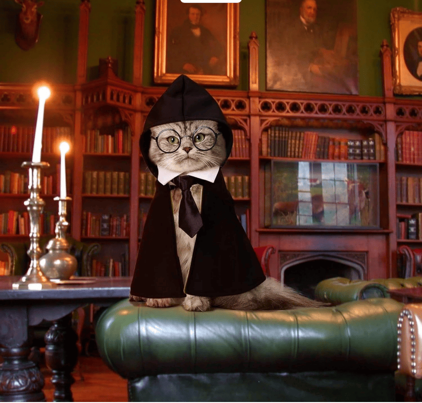 Cat Halloween Costume - Pet Wizard Costumes Mantle Magician Cosplay Clothes with Bowtie & Glasses Set, Festival Party Apparel for Small Pets Cats Dogs