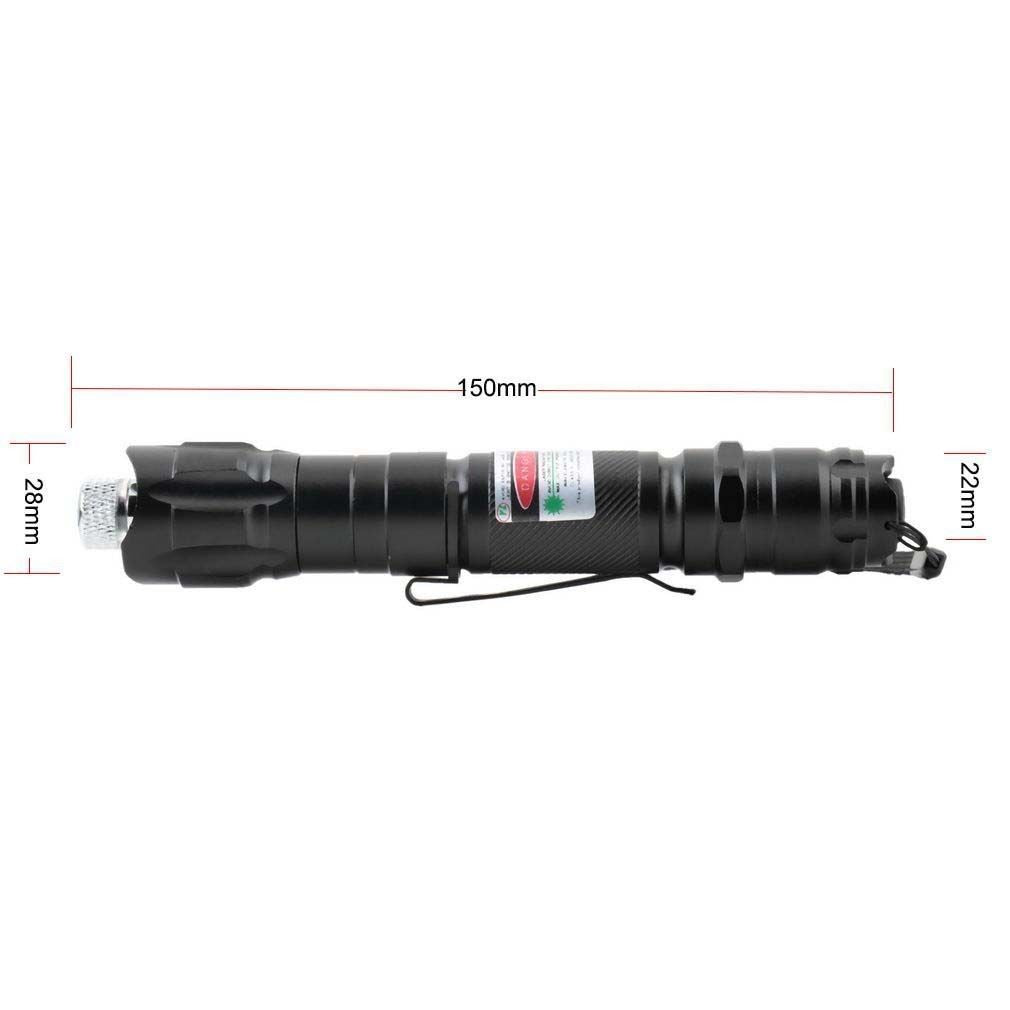 Green Laser Pointer Pen Astronomy Star Visible Beam Lazer+Battery+Charger