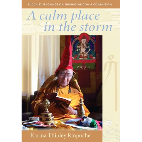 A Calm Place in the Storm: Buddhist Teachings on Finding Wisdom and Compassion