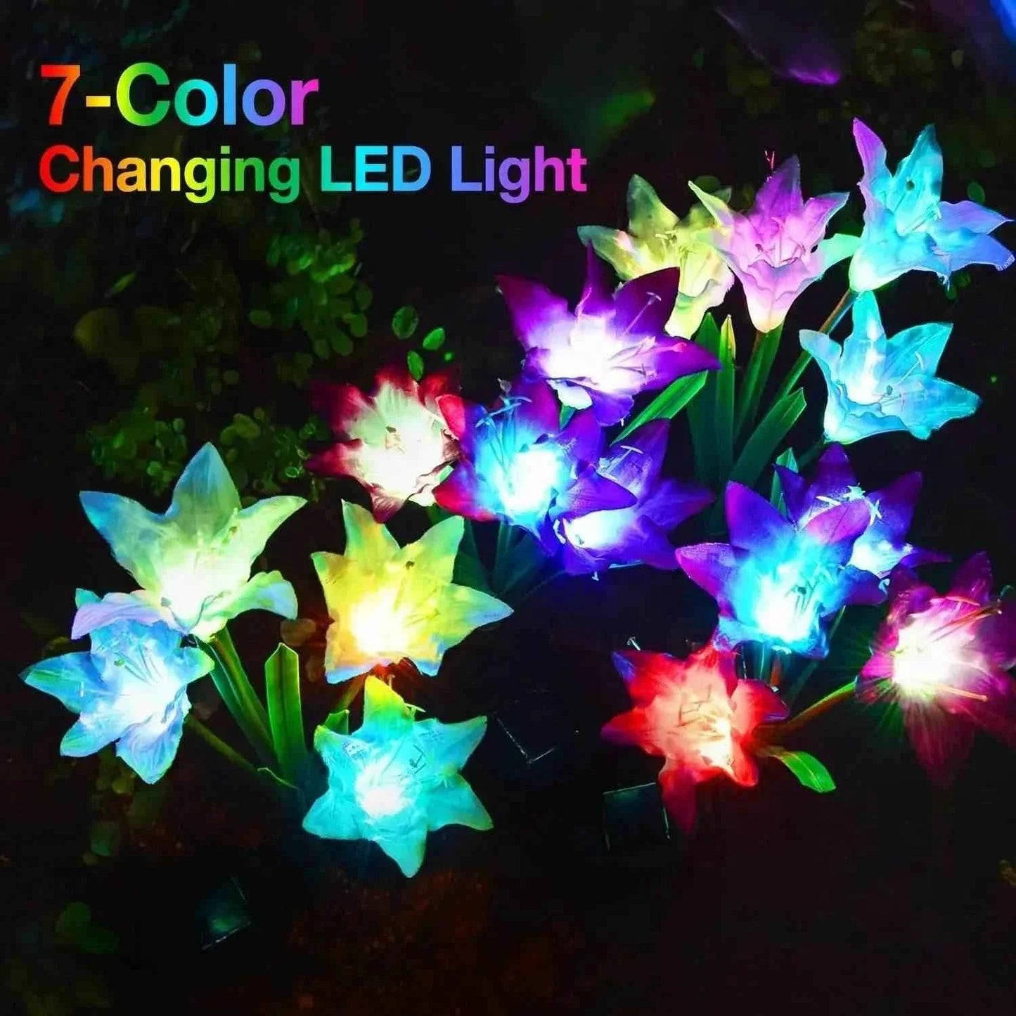 Dabsfavshop Outdoor Solar Lily Garden Lights - Decorative Pathway Lighting