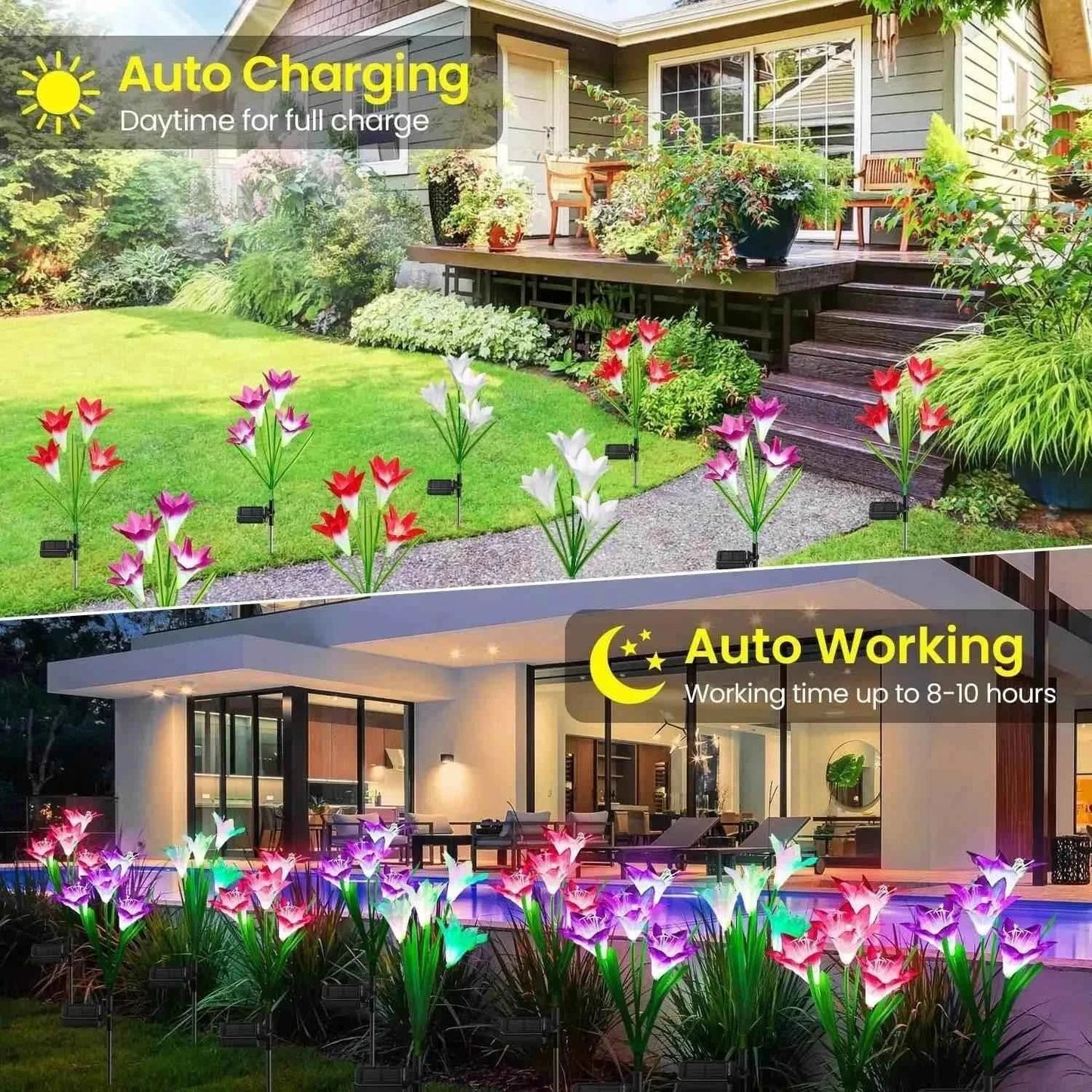 Dabsfavshop Outdoor Solar Lily Garden Lights - Decorative Pathway Lighting
