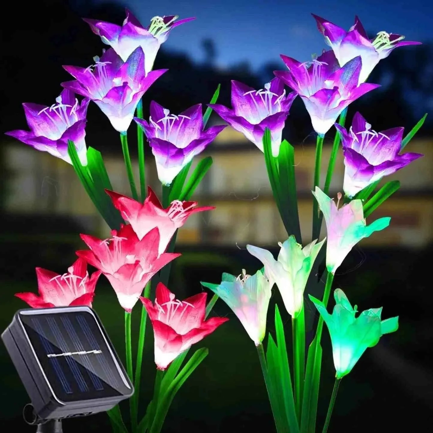 Dabsfavshop Outdoor Solar Lily Garden Lights - Decorative Pathway Lighting