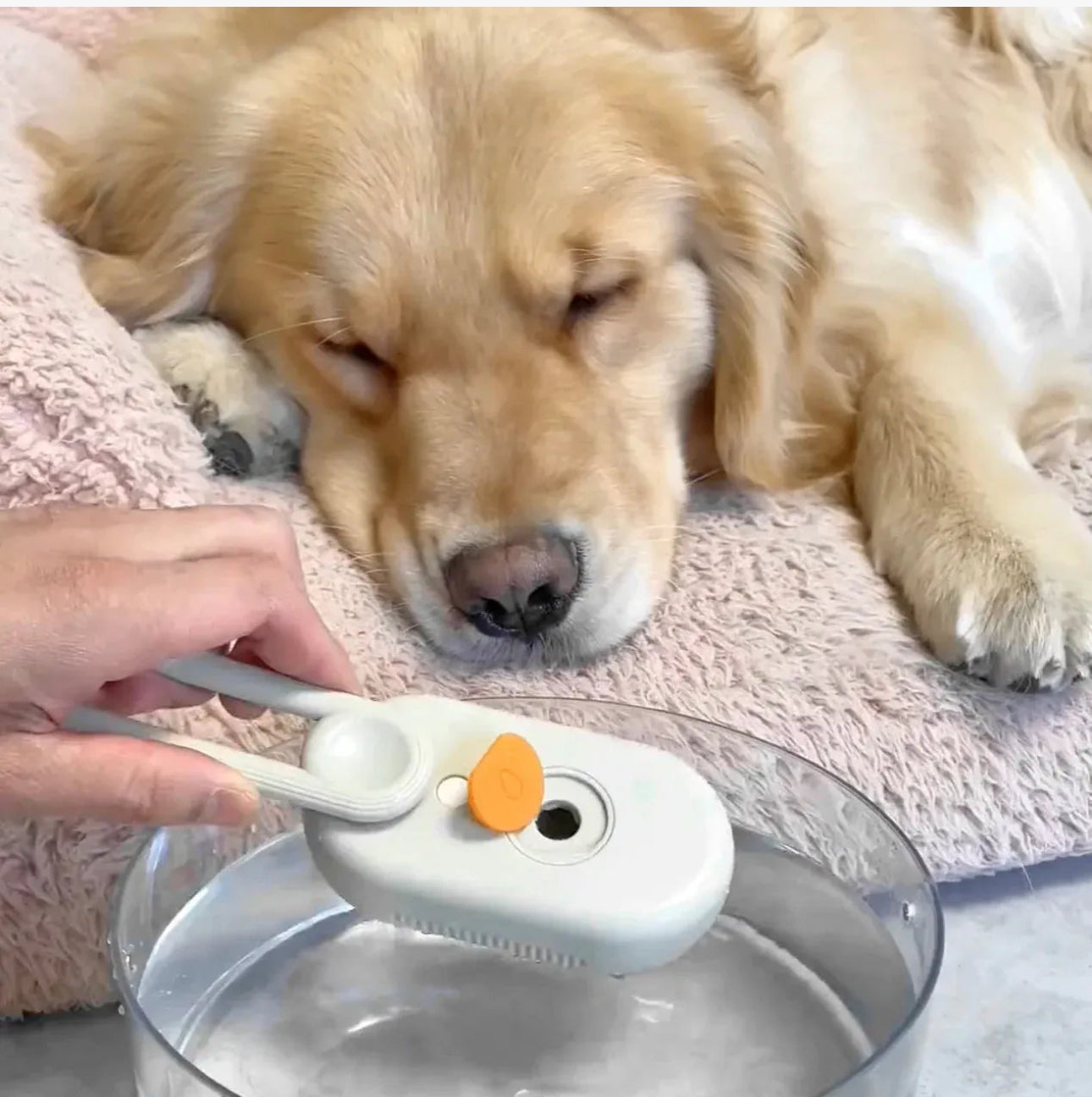 Steamy Hair Brush